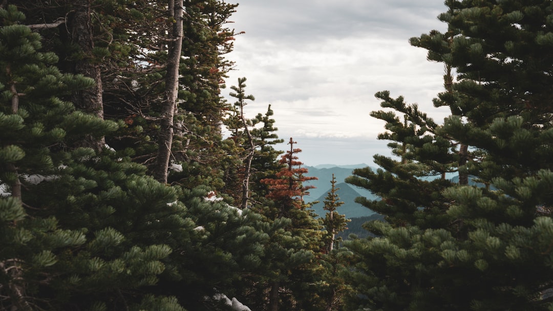 Energi Alam: Grounding dan Koneksi dengan Bumi